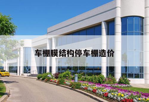 車棚膜結構停車棚造價